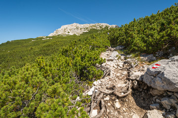 Road to the top of the mountain. Dolomite landscape. Oclini Pass, South Tyrol, italy