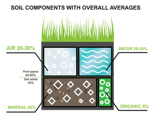 Composition of the soil. Components of the earth. Agroindustrial industry infographics. Percentage of water, minerals, oranica and air in the ground