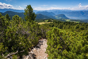 Fototapeta na wymiar Amazing mountains summer landscape in Dolomites, South Tyrol, Italy. The Oclini Pass