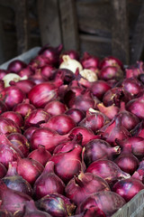 Red bow on a wooden background.