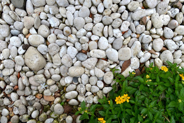 a texture or design of small stones, Stone background.
