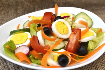 Healthy Summer salad With Tomatoes, Lettuce,Cucumbers,Carrots,Radishes and Olives