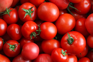 Red food tomato composition.