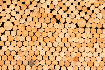 Firewood arranged as an texture.