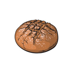 vector sketch fresh dark brown round rye bread loaf. Detailed hand drawn isolated illustration on a white background. Flour pastry products, bakery banner, poster design object