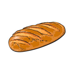 vector sketch fresh white loaf bread . Detailed hand drawn isolated illustration on a white background. Flour pastry products, bakery banner, poster design object
