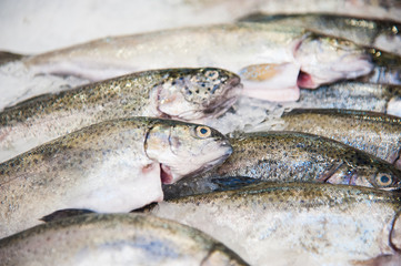 Pile of fish on ice