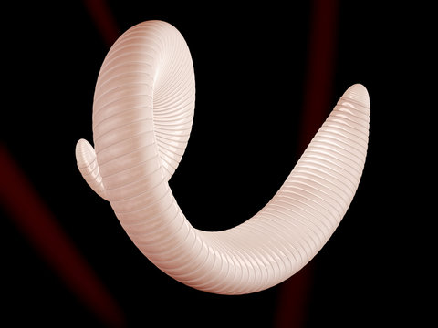 3d Illustration of parasitic worm and food poisoning.