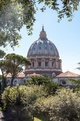 Obraz premium The Dome of St Peter's Basilica Vatican