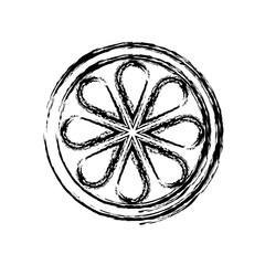 lemon slice icon