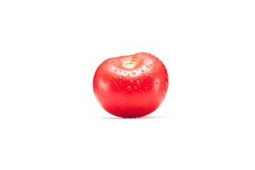 fresh red tomato