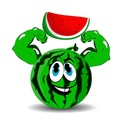 Watermelon with biceps in hands red slice, cartoon on white background.vector