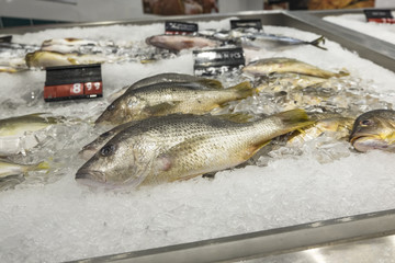 Fresh fish covered with ice cube display on table in supermarket