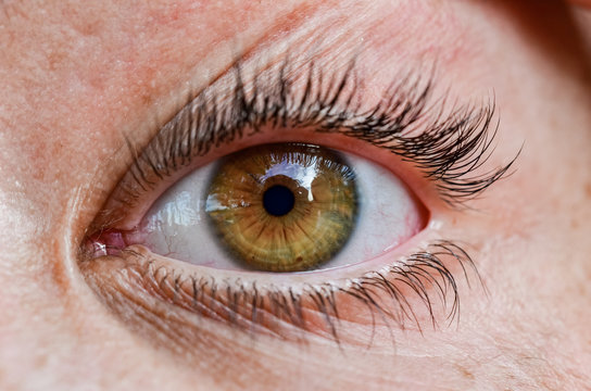 oeil en gros plan
