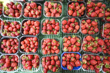 Fototapeta na wymiar Strawberries in baskets, sold at a local vegetable market during the summer season.