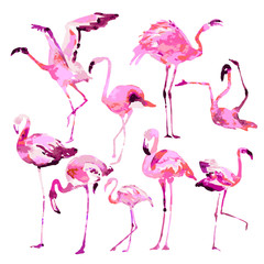 Beautiful watercolor flamingos, isolaned on a white. Big set.