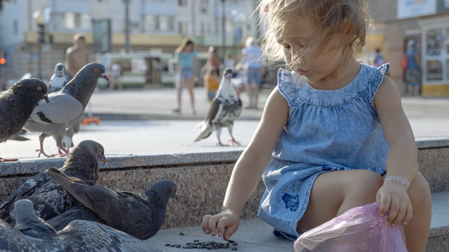 Closeup portrait of little cute girl feeding street pigeons in the park