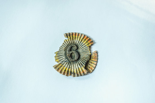 1895 cocarde from romanian uniform used until world war 1