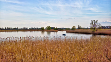 Fish ponds in a rural area in Germany