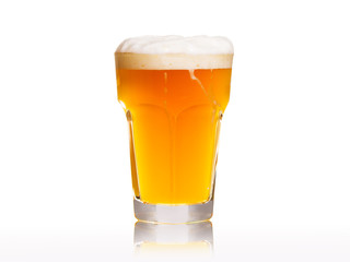 Beer on white background