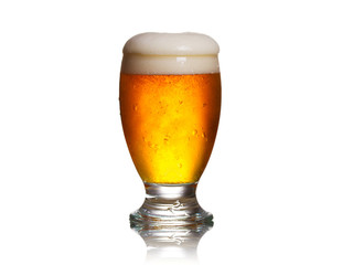 Beer on white background