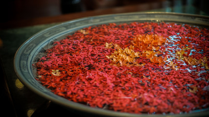 red ixora flower floating in pot at thai message spa