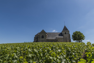 Fototapeta na wymiar Vineyards with Chavot Church