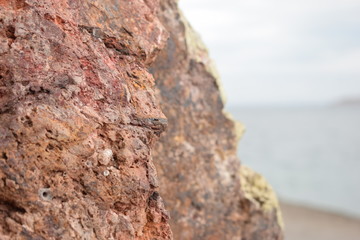 rock