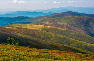 Fototapeta premium alpine meadows over the flat mountain ridge