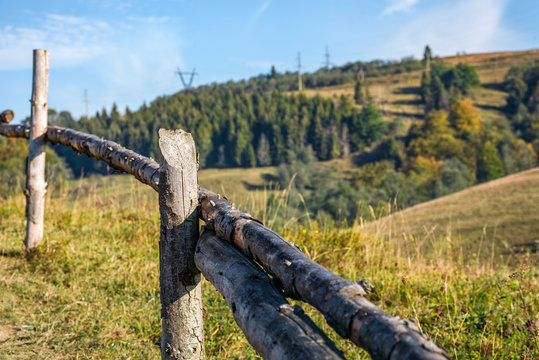 wooden fence on hillside near forest