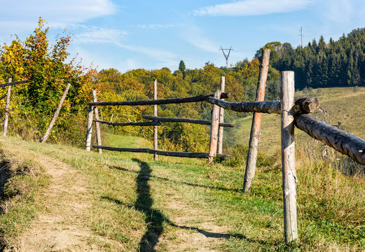 wooden fence on hillside near forest