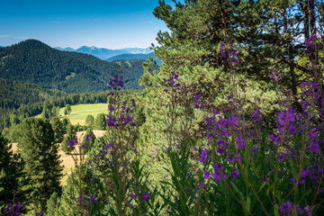 travelers walking on a trail in Dolomites Mountains, South Tyrolo, Italy