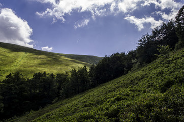 panorama  © wedrownik52