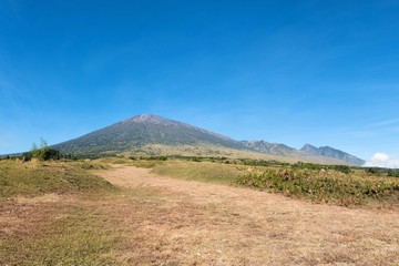 Obraz premium Rinjani mountain and savannah field with blue clear sky..