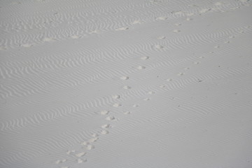 Traces in the sand beach of Cottesloe Beach in summer, Western Australia 