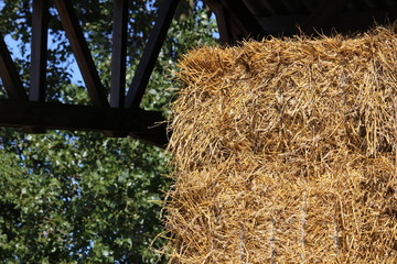 Paille pour nourrir les chevaux de l'écuries placé dans le hangar
