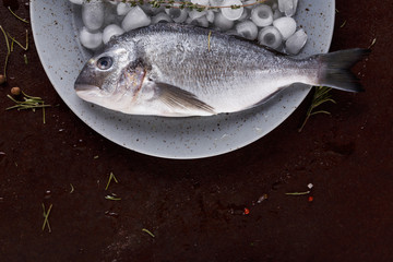Fresh mackerel on wooden board at black background