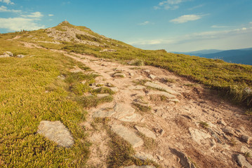 Dirt road to the top of green mountain. Nature landscape with rural way in grass. Beautiful scenery in the Carpathian Mountains
