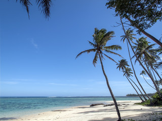 Spiaggia delle Isole Fiji, in tutta la sua bellezza, tra spiaggie bianche e palme