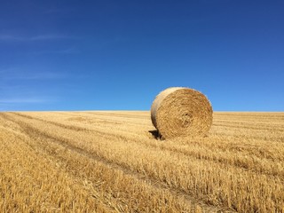 Bale of Hay in Field in front of Blue Sky