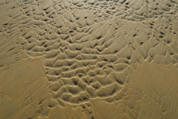 Sand textures by the shapes left by the waves