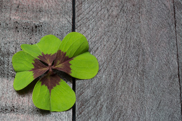 Einladungskarte mit vierblättrigem Kleeblatt