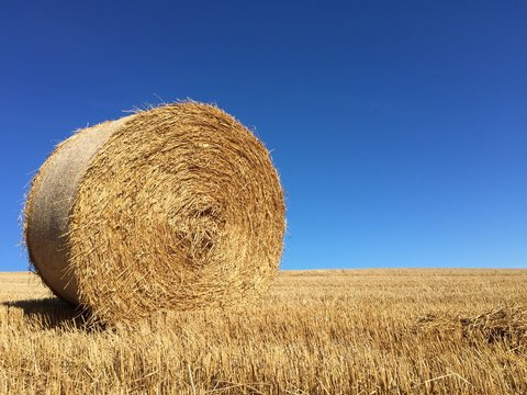 Bale of Hay in Field in front of Blue Sky