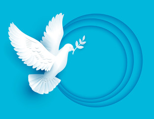 White dove holds twig symbol of peace