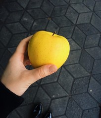 The woman's hand holding apple