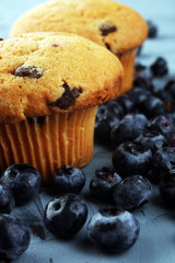 Freshly baked blueberry muffins with fresh blueberries