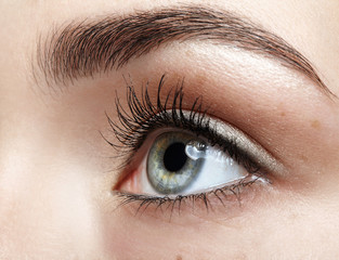 Obraz premium Closeup macro portrait of female face. Human girl eye with day beauty makeup. Woman with perfect skin and freckles
