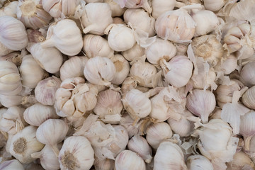 background of garlic