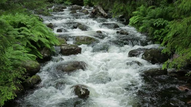 Water flowing in small stream in forest. Njupesk&auml;rsfallet in Fulufj&auml;llets nationalpark, Dalarna, Sweden.