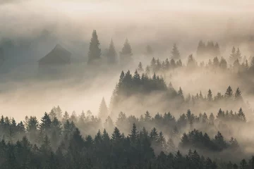 Foto auf Acrylglas Wald im Nebel erste Sonnenstrahlen im nebligen Tal
